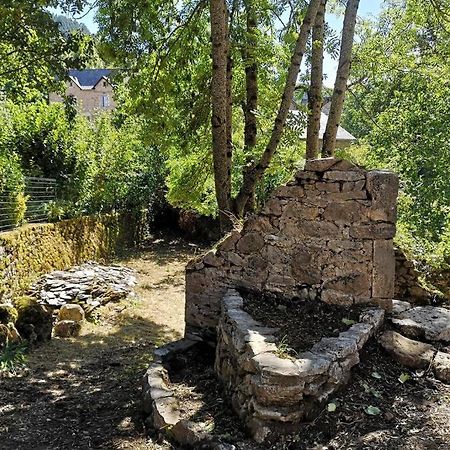 Maison Traditionnelle En Lozere Saint-Saturnin  Exterior photo
